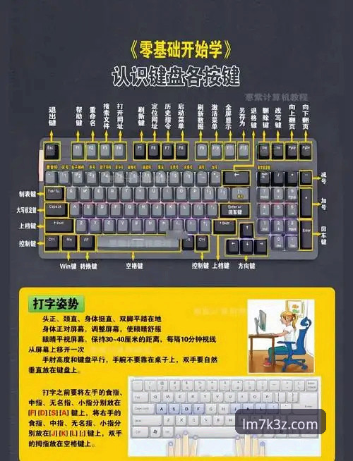 新手必看！资深用户分享LMSPORTS安卓版从下载到投注的全流程心得